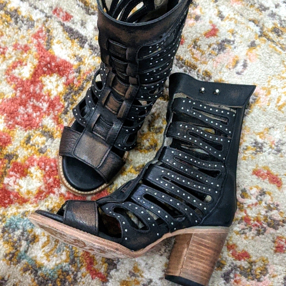 LOTUS FREEBIRD BY STEVEN